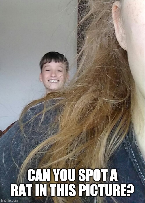 Lol dont mind my crazy hair, i was driving my cousins around with the windows down. | CAN YOU SPOT A RAT IN THIS PICTURE? | image tagged in ew a rat | made w/ Imgflip meme maker