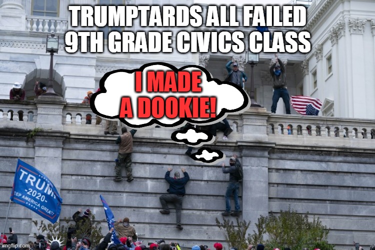 Trumptards....still be tarded | TRUMPTARDS ALL FAILED 9TH GRADE CIVICS CLASS; I MADE A DOOKIE! | image tagged in capitol wall climbers | made w/ Imgflip meme maker