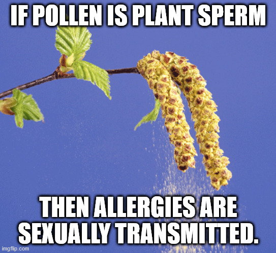 pollen sexually transmitted | IF POLLEN IS PLANT SPERM; THEN ALLERGIES ARE SEXUALLY TRANSMITTED. | image tagged in polen,sexually transmitted | made w/ Imgflip meme maker