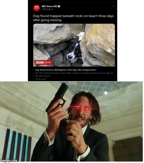 aaaaaaaaaaaaaah poor dog | image tagged in triggered keanu,memes | made w/ Imgflip meme maker