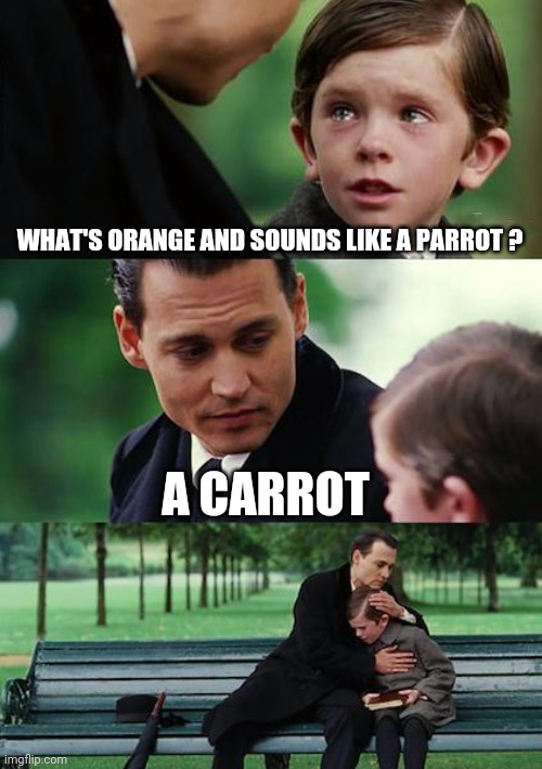 Finding Neverland Meme | WHAT'S ORANGE AND SOUNDS LIKE A PARROT ? A CARROT | image tagged in memes,finding neverland | made w/ Imgflip meme maker
