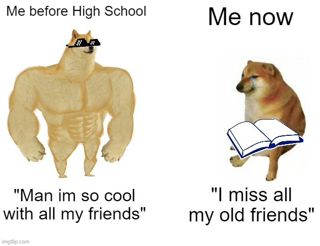 Yes i wore my sunglasses upside down a lot | Me before High School; Me now; "Man im so cool with all my friends"; "I miss all my old friends" | image tagged in memes,buff doge vs cheems | made w/ Imgflip meme maker