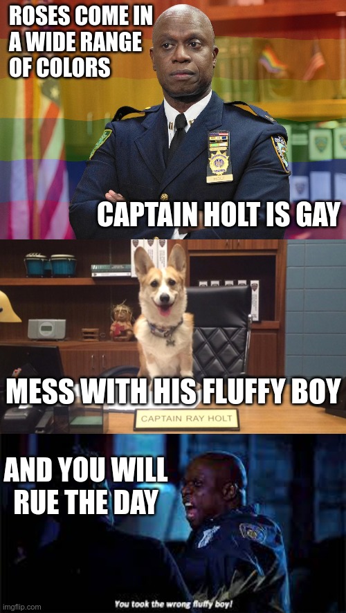 Captain Raymond "John Wick" Holt | ROSES COME IN 
A WIDE RANGE 
OF COLORS; CAPTAIN HOLT IS GAY; MESS WITH HIS FLUFFY BOY; AND YOU WILL RUE THE DAY | image tagged in captain holt,holt,cheddar,fluffy boy | made w/ Imgflip meme maker