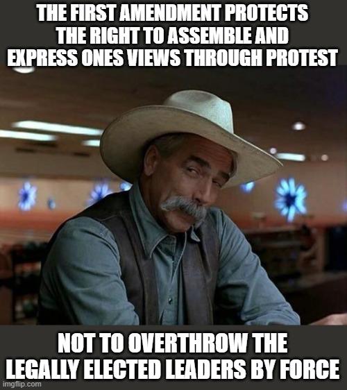special kind of stupid | THE FIRST AMENDMENT PROTECTS THE RIGHT TO ASSEMBLE AND EXPRESS ONES VIEWS THROUGH PROTEST NOT TO OVERTHROW THE LEGALLY ELECTED LEADERS BY FO | image tagged in special kind of stupid | made w/ Imgflip meme maker