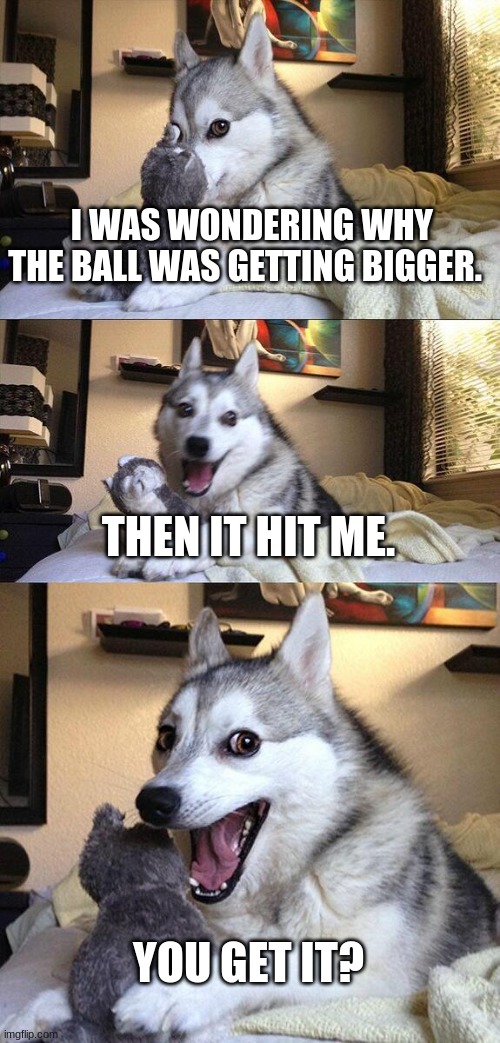 what a funny joke | I WAS WONDERING WHY THE BALL WAS GETTING BIGGER. THEN IT HIT ME. YOU GET IT? | image tagged in memes,bad pun dog | made w/ Imgflip meme maker