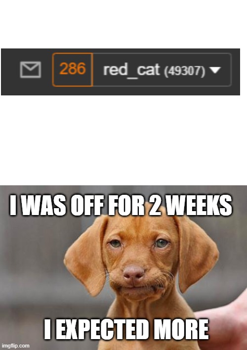 why. | I WAS OFF FOR 2 WEEKS; I EXPECTED MORE | image tagged in dissapointed puppy | made w/ Imgflip meme maker