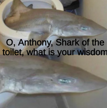 Anthony, Shark of the Toilet Blank Meme Template
