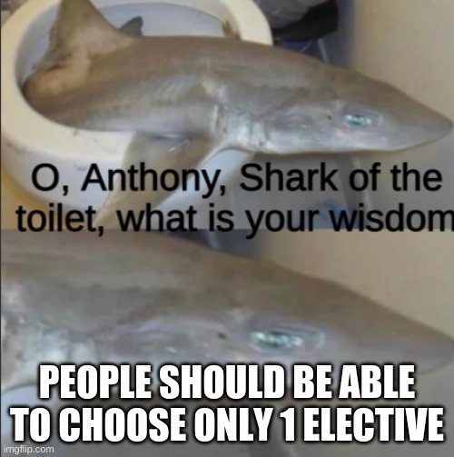 Comment Cohort if you want the same | PEOPLE SHOULD BE ABLE TO CHOOSE ONLY 1 ELECTIVE | image tagged in anthony shark of the toilet | made w/ Imgflip meme maker