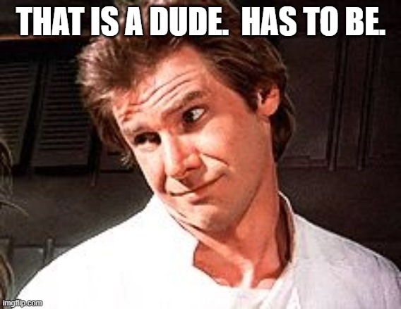 Snarky Solo | THAT IS A DUDE.  HAS TO BE. | image tagged in snarky solo | made w/ Imgflip meme maker