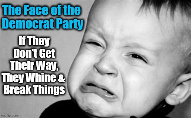 The Face of the 
Democrat Party If They Don't Get Their Way,
They Whine & 
Break Things | made w/ Imgflip meme maker