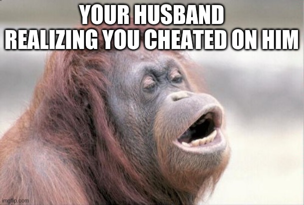 Monkey OOH Meme | YOUR HUSBAND REALIZING YOU CHEATED ON HIM | image tagged in memes,monkey ooh | made w/ Imgflip meme maker