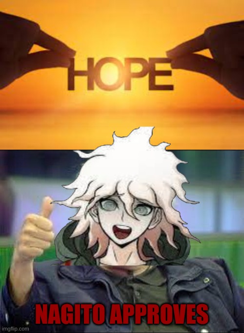 much hope | NAGITO APPROVES | image tagged in gary busey approves,nagito,danganronpa | made w/ Imgflip meme maker