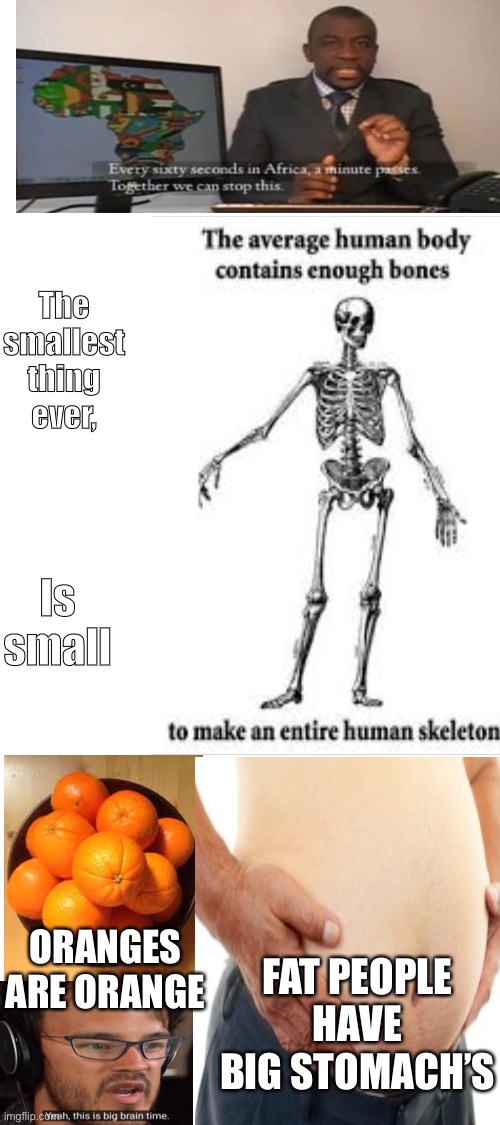 Yeah tis is big brain stuff | The smallest thing ever, Is small; ORANGES ARE ORANGE; FAT PEOPLE HAVE BIG STOMACH’S | image tagged in blank white template,useless stuff,memes,funny memes,funny,pov you got smarter from this | made w/ Imgflip meme maker