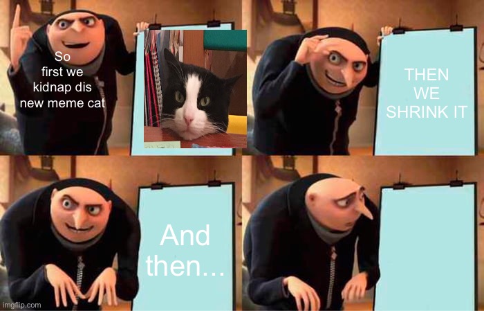 Gru's Plan Meme | So first we kidnap dis new meme cat; THEN WE SHRINK IT; And then... | image tagged in memes,gru's plan,take a seat cat,cat | made w/ Imgflip meme maker