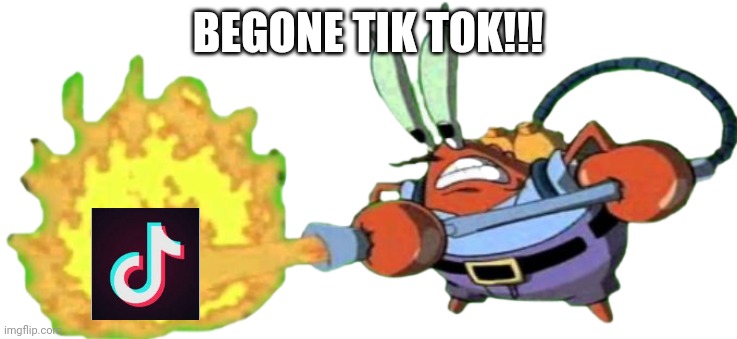 Mr. Krabs with flamethrower | BEGONE TIK TOK!!! | image tagged in mr krabs with flamethrower | made w/ Imgflip meme maker