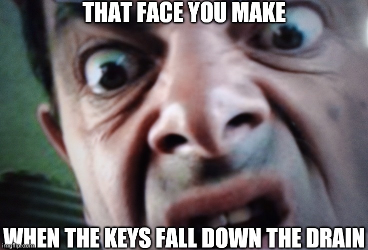 Hold onto your keys | THAT FACE YOU MAKE; WHEN THE KEYS FALL DOWN THE DRAIN | image tagged in mr bean | made w/ Imgflip meme maker