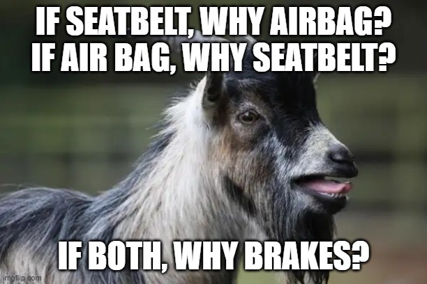 Goat of wisdom |  IF SEATBELT, WHY AIRBAG?
IF AIR BAG, WHY SEATBELT? IF BOTH, WHY BRAKES? | image tagged in goat,car,why,funny memes | made w/ Imgflip meme maker