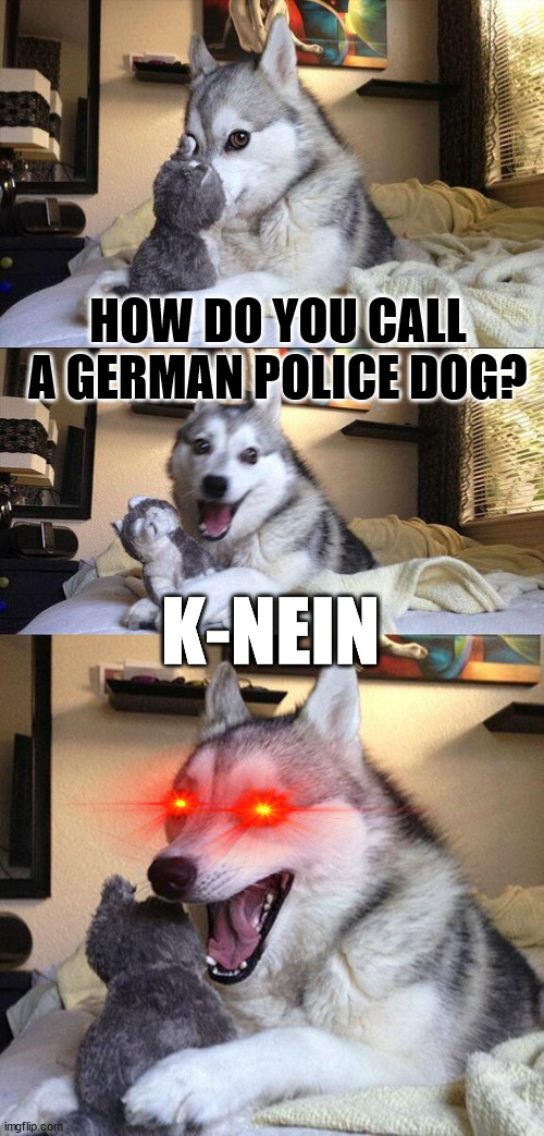 Bad Pun Dog Meme | HOW DO YOU CALL A GERMAN POLICE DOG? K-NEIN | image tagged in memes,bad pun dog,memes | made w/ Imgflip meme maker