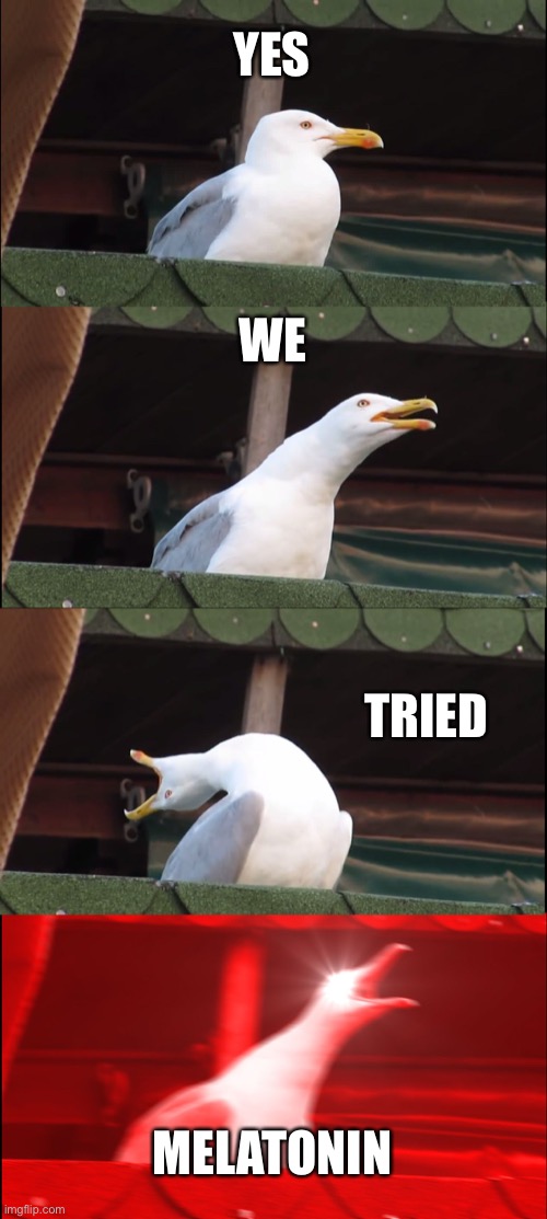 Inhaling Seagull | YES; WE; TRIED; MELATONIN | image tagged in memes,inhaling seagull | made w/ Imgflip meme maker