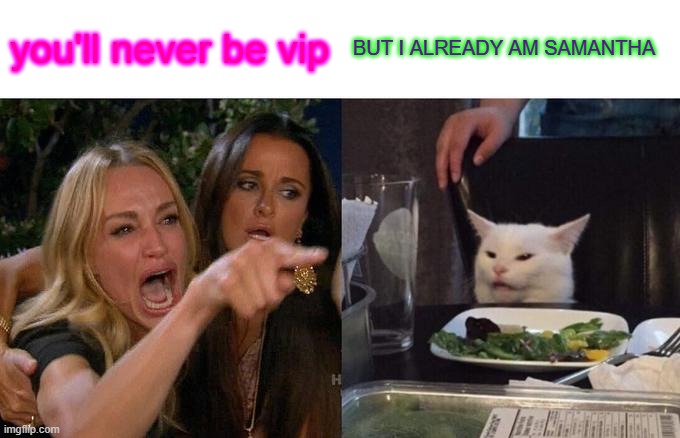Woman Yelling At Cat Meme | you'll never be vip; BUT I ALREADY AM SAMANTHA | image tagged in memes,woman yelling at cat | made w/ Imgflip meme maker