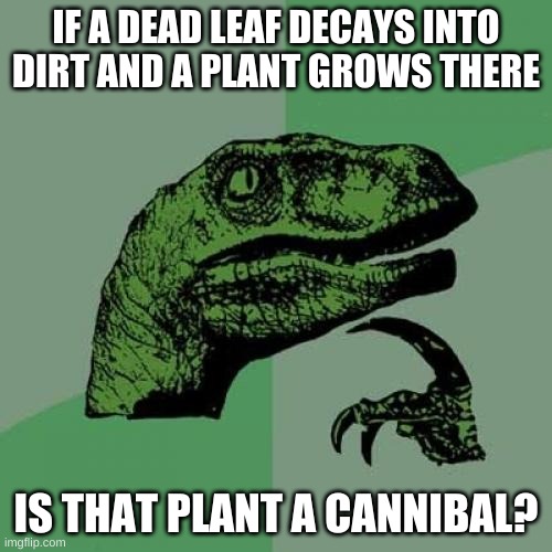 Philosoraptor | IF A DEAD LEAF DECAYS INTO DIRT AND A PLANT GROWS THERE; IS THAT PLANT A CANNIBAL? | image tagged in memes,philosoraptor | made w/ Imgflip meme maker