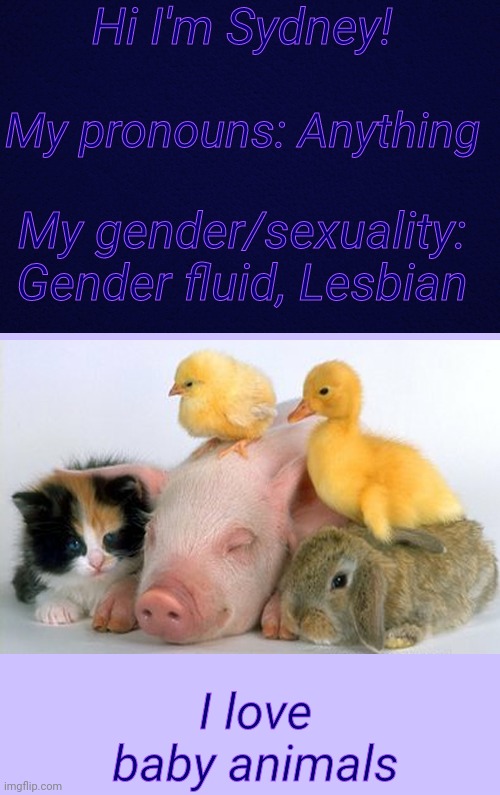 For Lesbian_potato | Hi I'm Sydney! My pronouns: Anything; My gender/sexuality: Gender fluid, Lesbian; I love baby animals | image tagged in dark blue | made w/ Imgflip meme maker