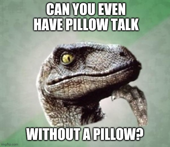 T-Rex wonder | CAN YOU EVEN HAVE PILLOW TALK; WITHOUT A PILLOW? | image tagged in t-rex wonder | made w/ Imgflip meme maker