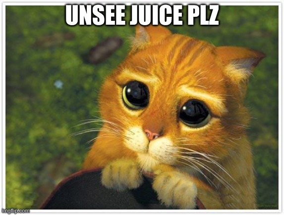 Shrek Cat Meme | UNSEE JUICE PLZ | image tagged in memes,shrek cat | made w/ Imgflip meme maker