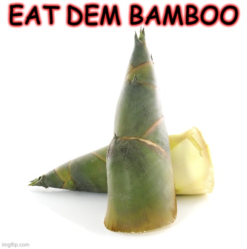 bamboo | EAT DEM BAMBOO | image tagged in bamboozled | made w/ Imgflip meme maker