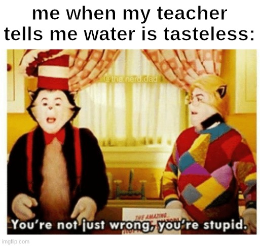 a bottle of water in the fridge with no top on for a couple of days taste so bad | me when my teacher tells me water is tasteless: | image tagged in you're not just wrong your stupid | made w/ Imgflip meme maker