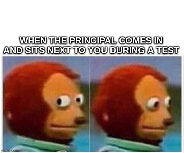 Monkey Puppet | WHEN THE PRINCIPAL COMES IN AND SITS NEXT TO YOU DURING A TEST | image tagged in memes,monkey puppet | made w/ Imgflip meme maker