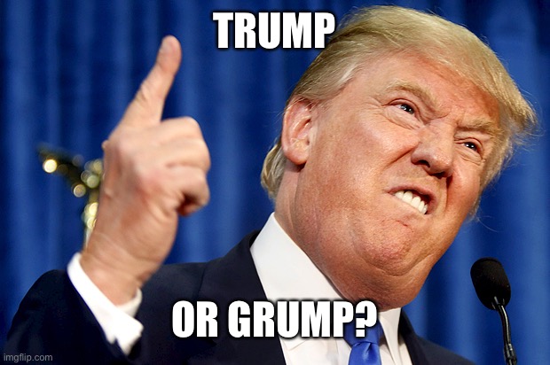 Donald Trump | TRUMP; OR GRUMP? | image tagged in donald trump | made w/ Imgflip meme maker