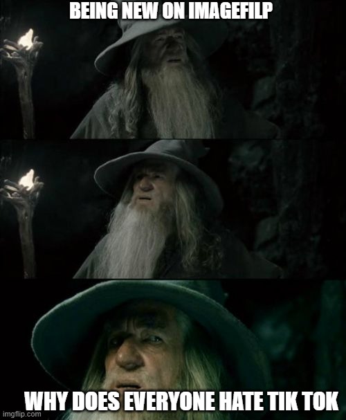 i like the little dances | BEING NEW ON IMAGEFILP; WHY DOES EVERYONE HATE TIK TOK | image tagged in memes,confused gandalf | made w/ Imgflip meme maker