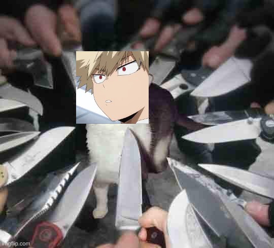 smug cat surrounded by knives | image tagged in smug cat surrounded by knives | made w/ Imgflip meme maker