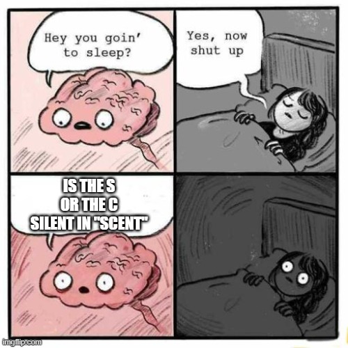 hey you goin to sleep | IS THE S OR THE C SILENT IN "SCENT" | image tagged in hey you going to sleep | made w/ Imgflip meme maker