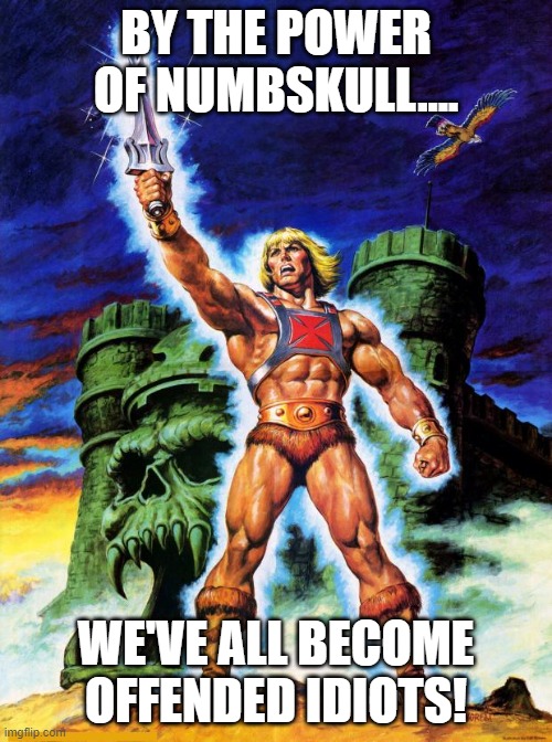 2020-2021 | BY THE POWER OF NUMBSKULL.... WE'VE ALL BECOME OFFENDED IDIOTS! | image tagged in heman,by the power of numbskull,offended are we,american idol,are we run by fools and idiots | made w/ Imgflip meme maker