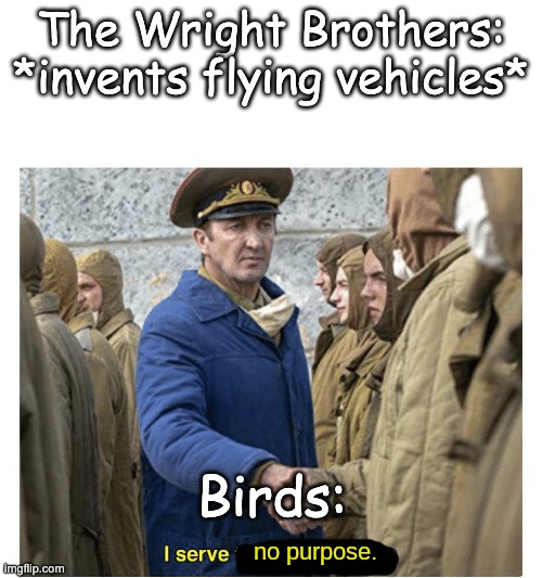 birds have no purpose | The Wright Brothers: *invents flying vehicles*; Birds: | image tagged in i serve no purpose | made w/ Imgflip meme maker