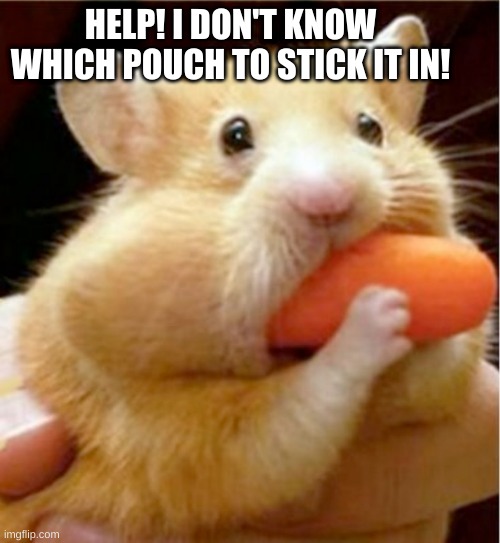 oof | HELP! I DON'T KNOW WHICH POUCH TO STICK IT IN! | image tagged in hamster carrot | made w/ Imgflip meme maker
