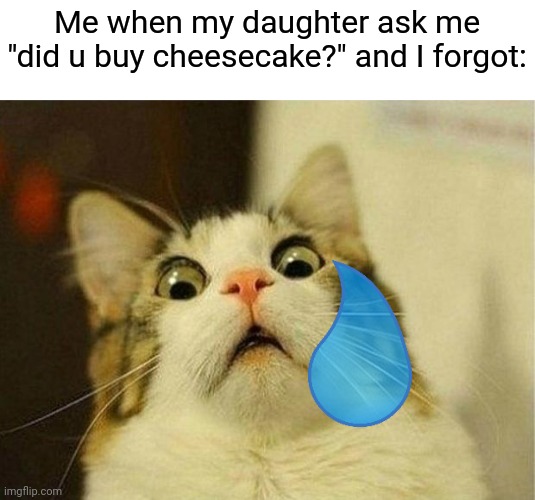 My daughter is a demon | Me when my daughter ask me "did u buy cheesecake?" and I forgot: | image tagged in memes,scared cat | made w/ Imgflip meme maker