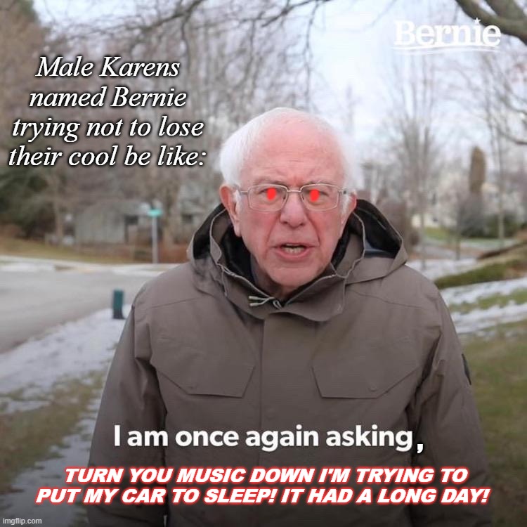 If Bernie Hogenson Ran for President and tried to be nice: | Male Karens named Bernie trying not to lose their cool be like:; , , , TURN YOU MUSIC DOWN I'M TRYING TO PUT MY CAR TO SLEEP! IT HAD A LONG DAY! | image tagged in memes,bernie i am once again asking for your support | made w/ Imgflip meme maker