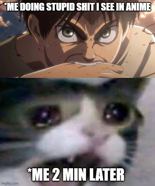 *ME DOING STUPID SHIT I SEE IN ANIME; *ME 2 MIN LATER | image tagged in attack on titans | made w/ Imgflip meme maker