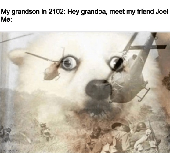 Dear god | My grandson in 2102: Hey grandpa, meet my friend Joe!

Me: | image tagged in ptsd dog | made w/ Imgflip meme maker