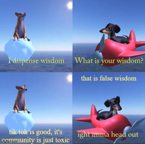 Wisdom dog rejected | that is false wisdom; tik tok is good, it's community is just toxic | image tagged in wisdom dog rejected | made w/ Imgflip meme maker