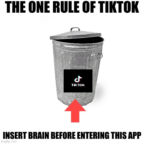 THe oNe RuLe Of TiKToK | THE ONE RULE OF TIKTOK; INSERT BRAIN BEFORE ENTERING THIS APP | image tagged in memes,blank transparent square,funny memes | made w/ Imgflip meme maker