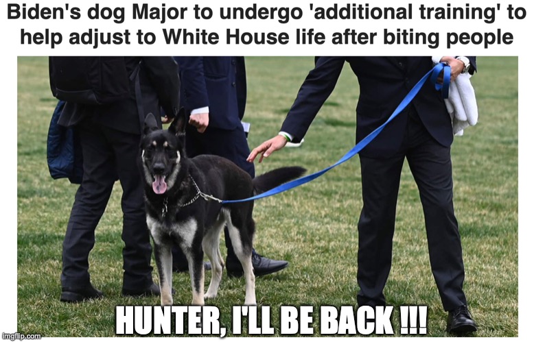 Biden's dog needs more time | HUNTER, I'LL BE BACK !!! | image tagged in white house | made w/ Imgflip meme maker