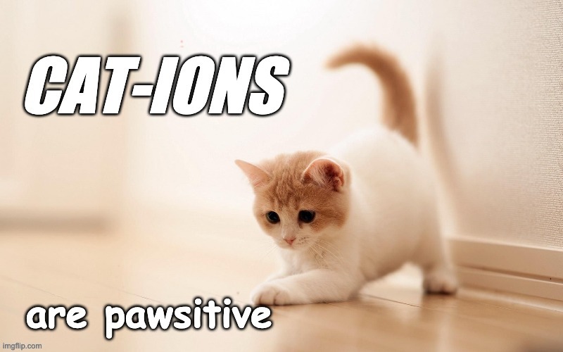 Cat-ions are pawsitive | image tagged in cats,chemistry,ions,bad puns | made w/ Imgflip meme maker