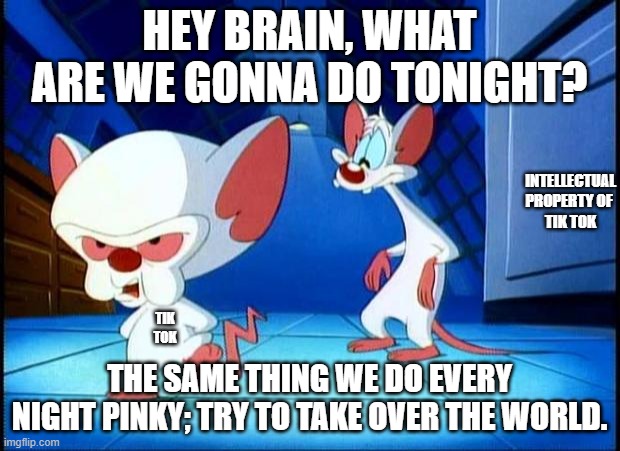 Intellectual property of TikTok? | HEY BRAIN, WHAT ARE WE GONNA DO TONIGHT? INTELLECTUAL PROPERTY OF 
TIK TOK; TIK TOK; THE SAME THING WE DO EVERY NIGHT PINKY; TRY TO TAKE OVER THE WORLD. | image tagged in pinky and the brain monday,intellectual property,tik tok,take over the world,narf | made w/ Imgflip meme maker
