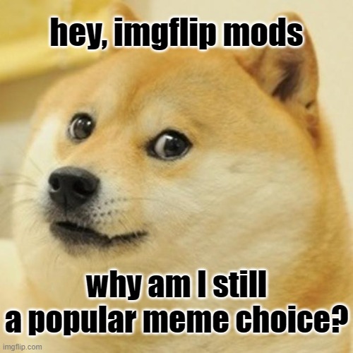 Doge Meme | hey, imgflip mods; why am I still a popular meme choice? | image tagged in memes,doge | made w/ Imgflip meme maker