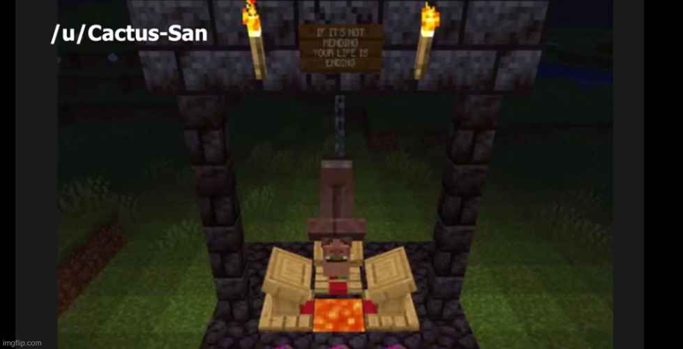 Me who already has like 3 mending villagers: | made w/ Imgflip meme maker