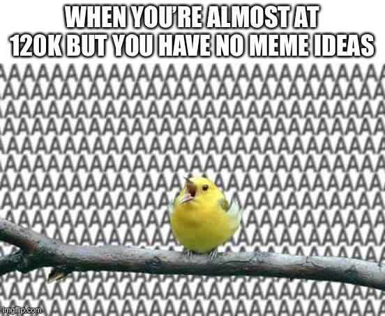 AGHSHANAH | WHEN YOU’RE ALMOST AT 120K BUT YOU HAVE NO MEME IDEAS | image tagged in bird yelling aaaaaaa | made w/ Imgflip meme maker